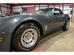 1981 Chevrolet Corvette (CC-2106204) for sale in Kentwood, Michigan