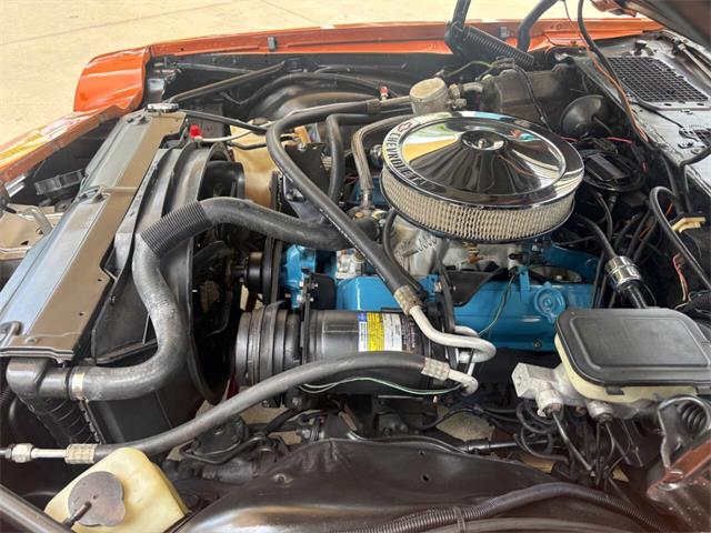 1981 Chevrolet Camaro (CC-2106242) for sale in Bradenton, Florida