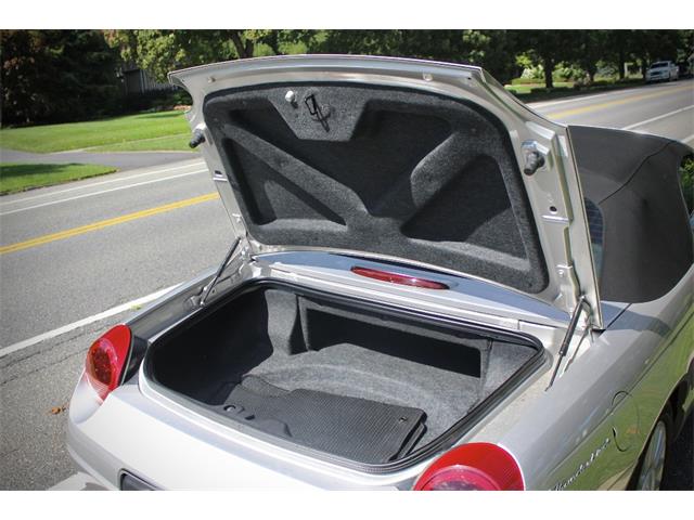 2005 Ford Convertible (CC-2106503) for sale in Saratoga Springs, New York