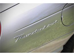 2005 Ford Convertible (CC-2106503) for sale in Saratoga Springs, New York