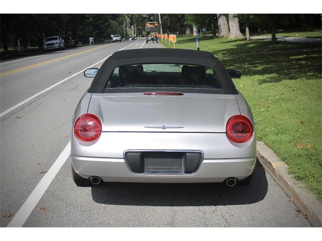 2005 Ford Convertible (CC-2106503) for sale in Saratoga Springs, New York