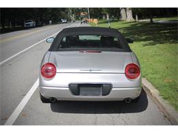 2005 Ford Convertible (CC-2106503) for sale in Saratoga Springs, New York