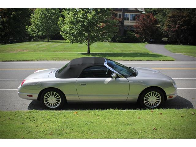 2005 Ford Convertible (CC-2106503) for sale in Saratoga Springs, New York