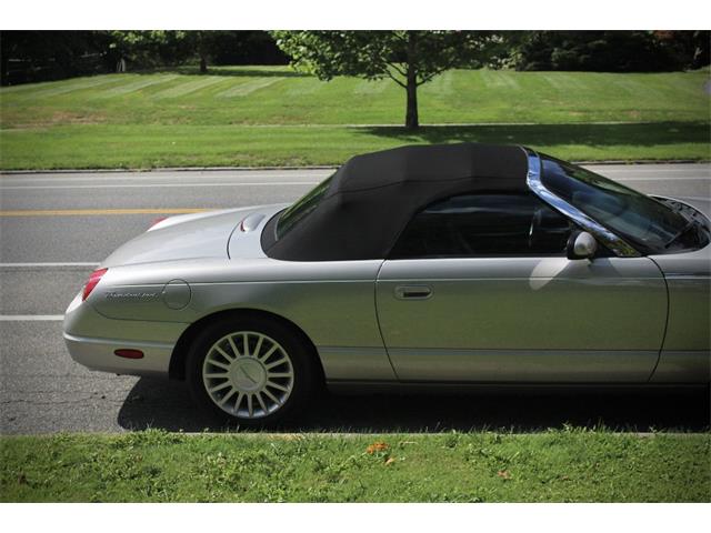 2005 Ford Convertible (CC-2106503) for sale in Saratoga Springs, New York
