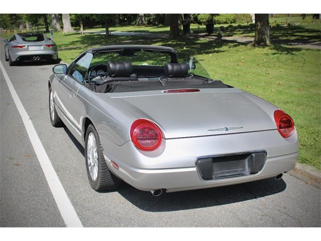 2005 Ford Convertible (CC-2106503) for sale in Saratoga Springs, New York