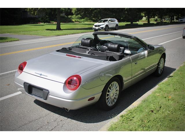 2005 Ford Convertible (CC-2106503) for sale in Saratoga Springs, New York