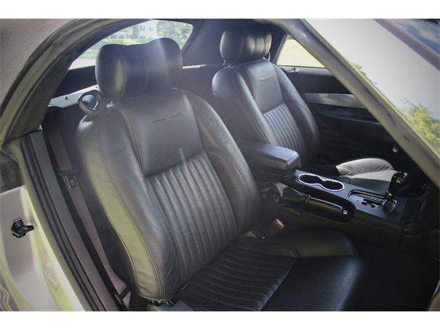 2005 Ford Convertible (CC-2106503) for sale in Saratoga Springs, New York