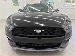 2016 Ford Mustang (CC-2106529) for sale in Spring City, Pennsylvania