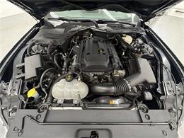 2016 Ford Mustang (CC-2106529) for sale in Spring City, Pennsylvania