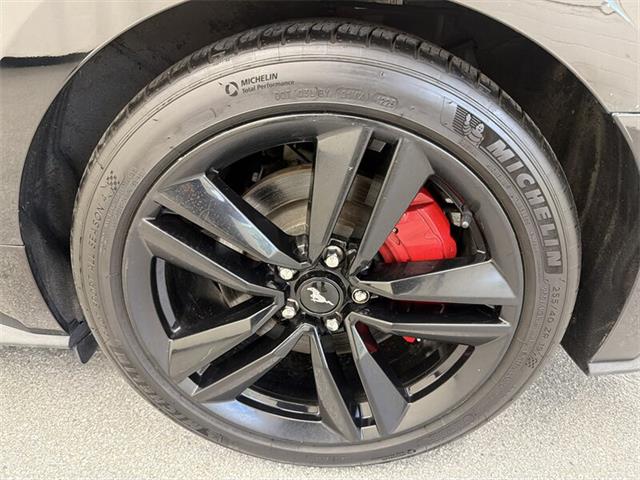 2016 Ford Mustang (CC-2106529) for sale in Spring City, Pennsylvania