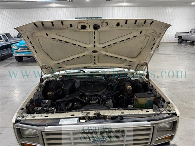 1985 Ford F250 (CC-2106543) for sale in Holland , Michigan