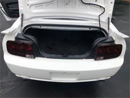 2008 Ford Mustang (CC-2106645) for sale in Saratoga Springs, New York