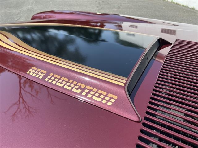 1981 Chevrolet Camaro (CC-2106659) for sale in Saratoga Springs, New York