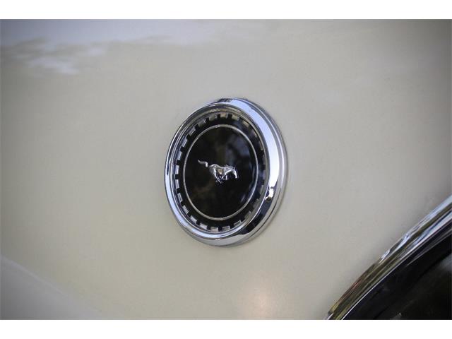 1969 Ford Mustang Mach 1 (CC-2106670) for sale in Saratoga Springs, New York