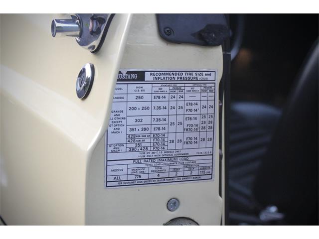 1969 Ford Mustang Mach 1 (CC-2106670) for sale in Saratoga Springs, New York