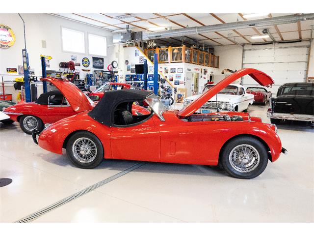 1954 Jaguar Roadster (CC-2106683) for sale in Saratoga Springs, New York