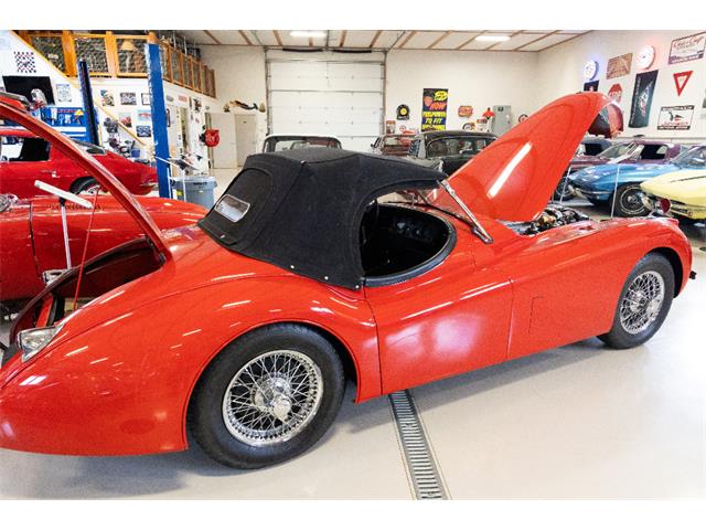 1954 Jaguar Roadster (CC-2106683) for sale in Saratoga Springs, New York