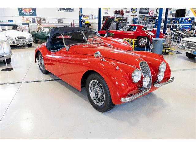 1954 Jaguar Roadster (CC-2106683) for sale in Saratoga Springs, New York