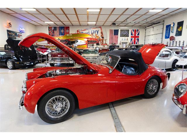 1954 Jaguar Roadster (CC-2106683) for sale in Saratoga Springs, New York