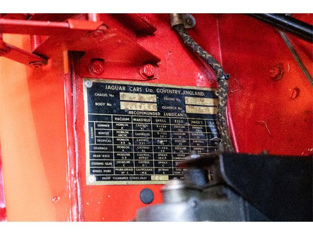 1954 Jaguar Roadster (CC-2106683) for sale in Saratoga Springs, New York