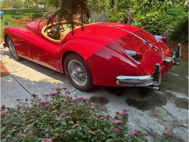 1956 Jaguar Roadster (CC-2106715) for sale in Saratoga Springs, New York