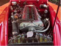 1956 Jaguar Roadster (CC-2106715) for sale in Saratoga Springs, New York