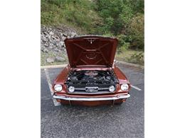 1966 Ford Convertible (CC-2106720) for sale in Saratoga Springs, New York