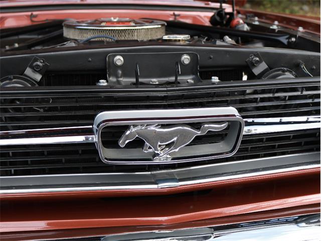 1966 Ford Convertible (CC-2106720) for sale in Saratoga Springs, New York
