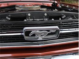 1966 Ford Convertible (CC-2106720) for sale in Saratoga Springs, New York