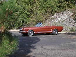 1966 Ford Convertible (CC-2106720) for sale in Saratoga Springs, New York