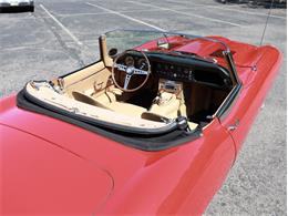 1964 Jaguar XKE (CC-2106727) for sale in Saratoga Springs, New York