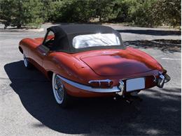 1964 Jaguar XKE (CC-2106727) for sale in Saratoga Springs, New York