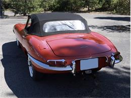 1964 Jaguar XKE (CC-2106727) for sale in Saratoga Springs, New York
