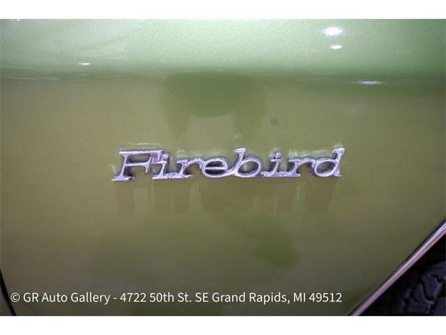 1974 Pontiac Firebird (CC-2106790) for sale in Kentwood, Michigan