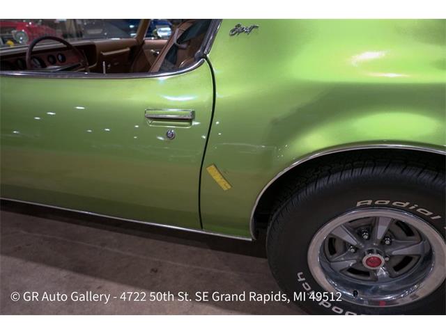 1974 Pontiac Firebird (CC-2106790) for sale in Kentwood, Michigan