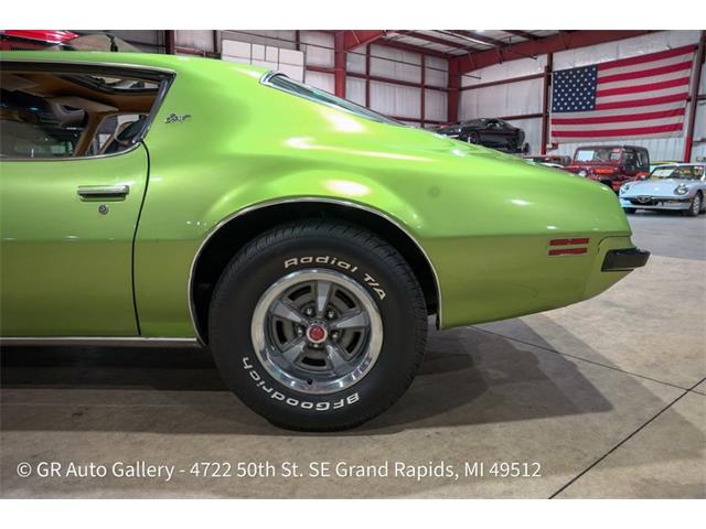 1974 Pontiac Firebird (CC-2106790) for sale in Kentwood, Michigan