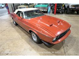 1973 Ford Mustang (CC-2106792) for sale in Kentwood, Michigan
