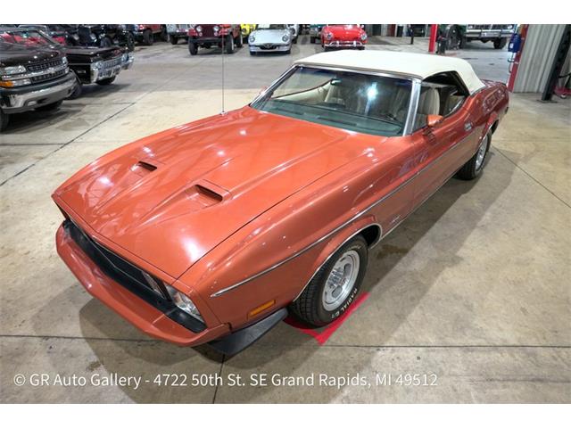 1973 Ford Mustang (CC-2106792) for sale in Kentwood, Michigan