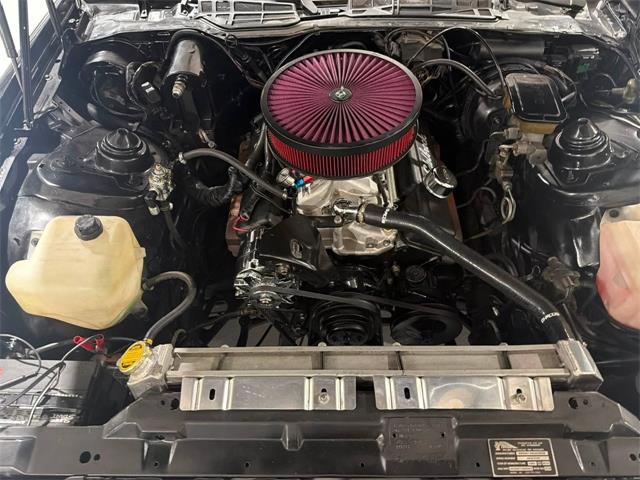 1982 Pontiac Firebird Trans Am (CC-2100685) for sale in Miami, Florida