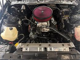 1982 Pontiac Firebird Trans Am (CC-2100685) for sale in Miami, Florida