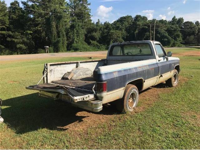 1984 Chevrolet C10 (CC-2106859) for sale in Cadillac, Michigan