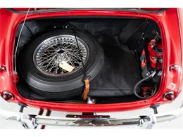 1959 Austin-Healey 100-6 (CC-2106868) for sale in St. Charles, Missouri