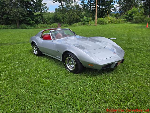1976 Chevrolet Corvette (CC-2100689) for sale in MARTINSBURG, Pennsylvania