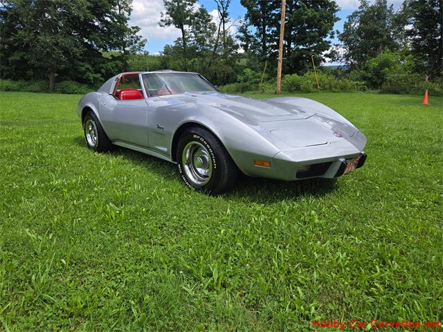 1976 Chevrolet Corvette (CC-2100689) for sale in MARTINSBURG, Pennsylvania