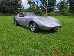 1976 Chevrolet Corvette (CC-2100689) for sale in MARTINSBURG, Pennsylvania