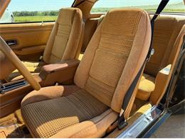 1979 Pontiac Firebird Trans Am SE (CC-2106910) for sale in Lincoln, Nebraska