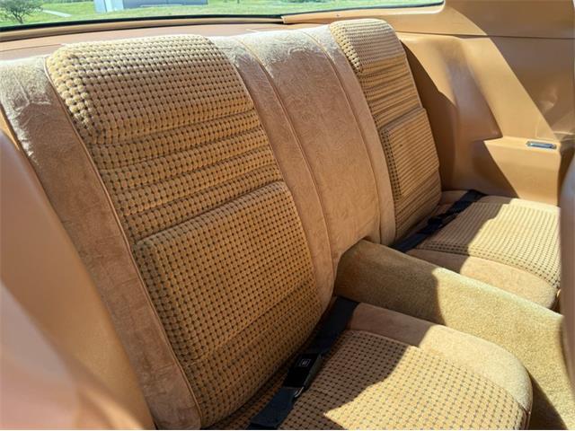1979 Pontiac Firebird Trans Am SE (CC-2106910) for sale in Lincoln, Nebraska