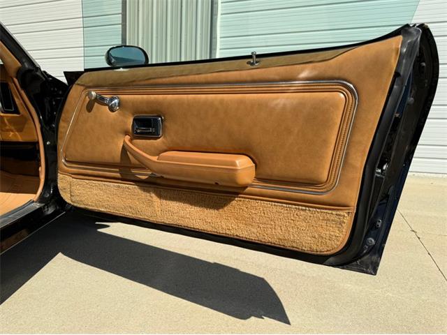 1979 Pontiac Firebird Trans Am SE (CC-2106910) for sale in Lincoln, Nebraska