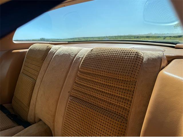 1979 Pontiac Firebird Trans Am SE (CC-2106910) for sale in Lincoln, Nebraska