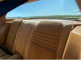 1979 Pontiac Firebird Trans Am SE (CC-2106910) for sale in Lincoln, Nebraska
